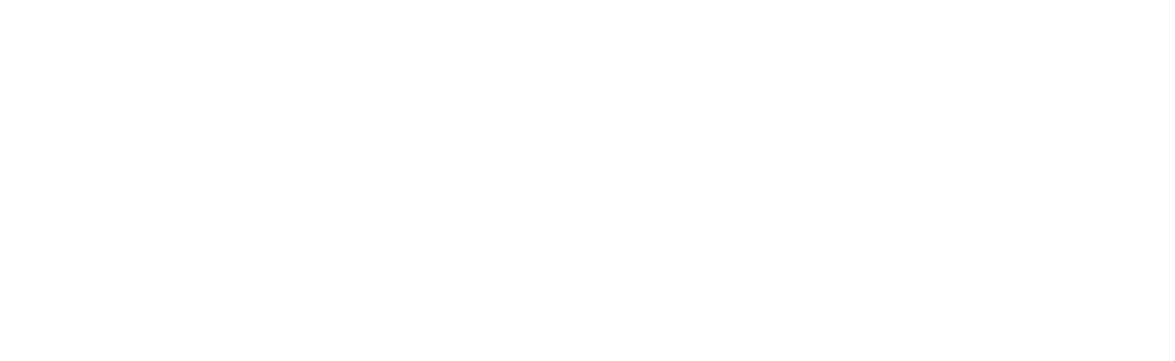 Anhanguera logo